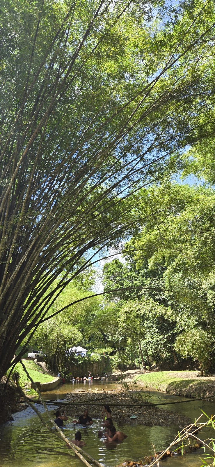 Caura River Lime, Trinidad and Tobago: Tour Review